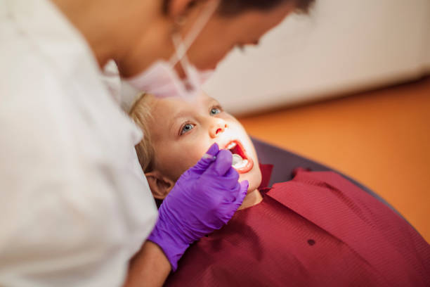 Best Emergency Dental Services for Seniors in Prospect Rk, PA