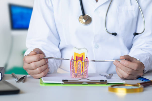Best Emergency Dental Care for Abscessed Tooth in Prospect Rk, PA